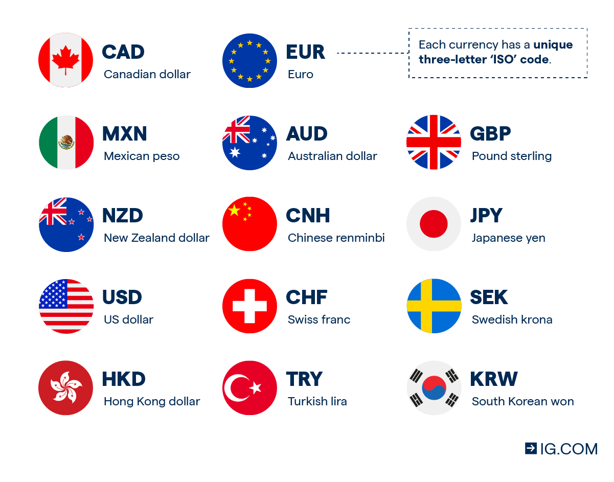 Forex Robot Image