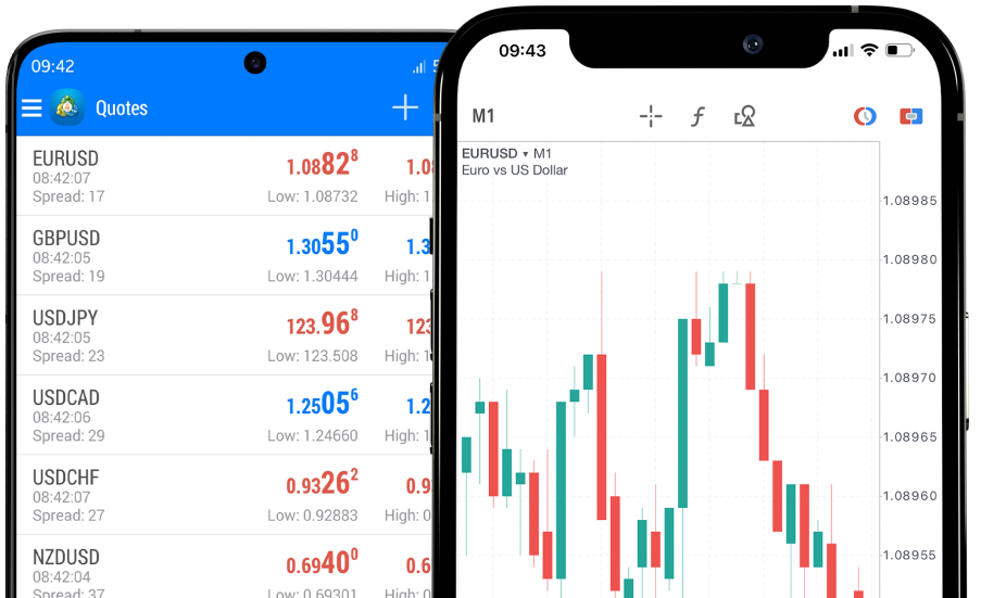 Forex Trading Room